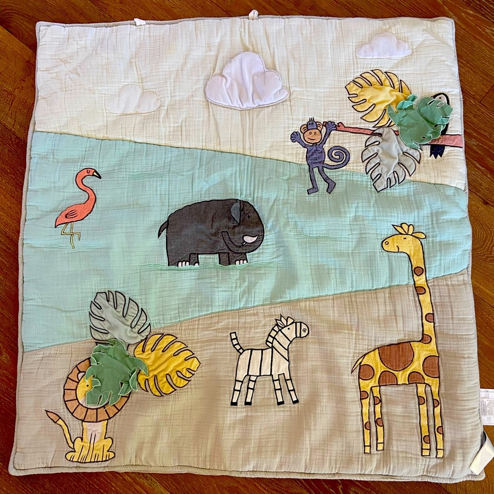 Aden+ Anais play mat
